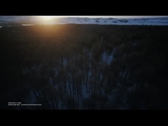 쉐이오펜그9 차