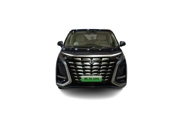 텐시-D9 비드 덴자 D9 Dm-I 4WD 플래그십 MPV 패스트 페브 전기 EV 자동차