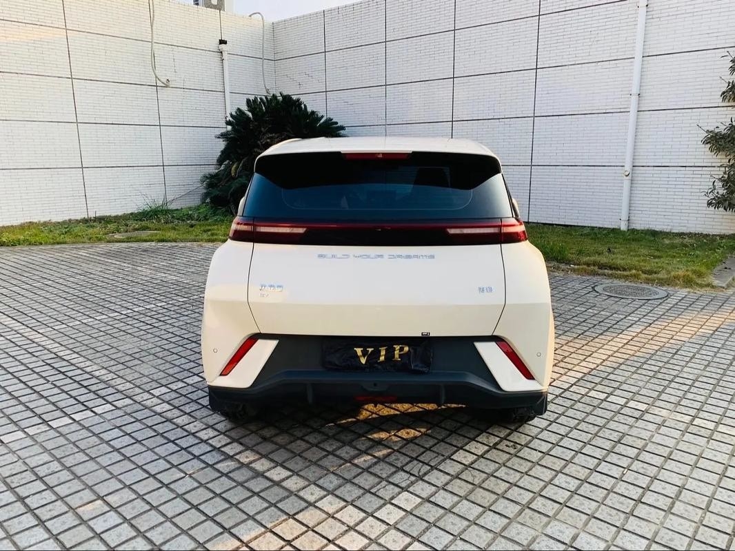 Byd Seagull 2024 명예 에디션 305km 무료 에디션 전기 자동차 신 에너지 차량