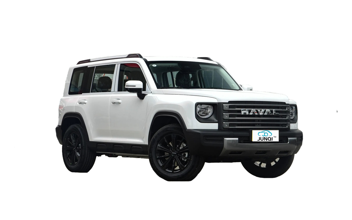 신차 하발 랩터 GT 2023 1.5t 자동 도시 버전