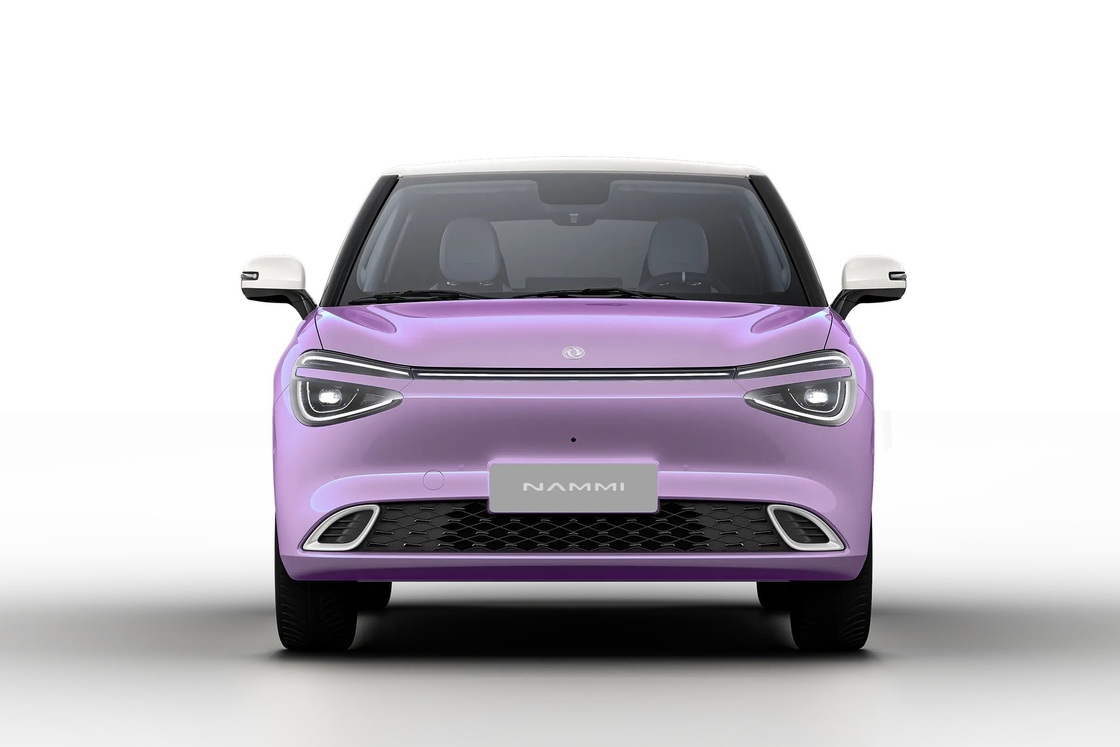 뜨거운 판매 2024 전기 저렴한 SUV 공장 공급자 Carro Electrico 동펜 나미 01 신차 사용/중고 전기/EV/배터리/녹색 EV 신 에너지 차량 자동차