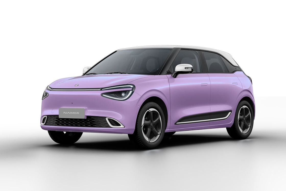 뜨거운 판매 2024 전기 저렴한 SUV 공장 공급자 Carro Electrico 동펜 나미 01 신차 사용/중고 전기/EV/배터리/녹색 EV 신 에너지 차량 자동차